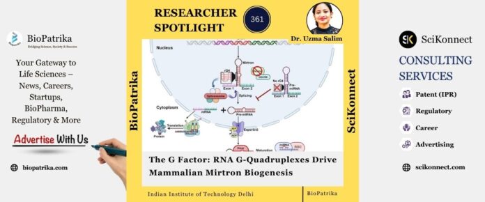 The G Factor: RNA G-Quadruplexes Drive Mammalian Mirtron Biogenesis
