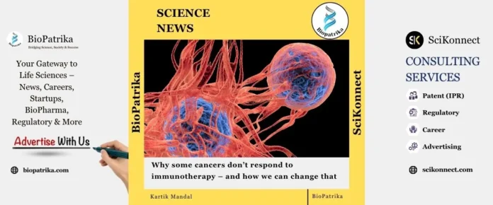 Why some cancers don’t respond to immunotherapy – and how we can change that