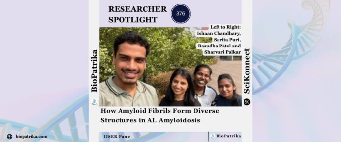 How Amyloid Fibrils Form Diverse Structures in AL Amyloidosis