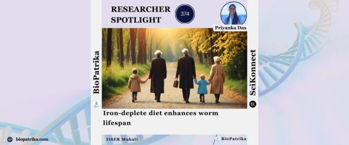 Iron-deplete diet enhances worm lifespan