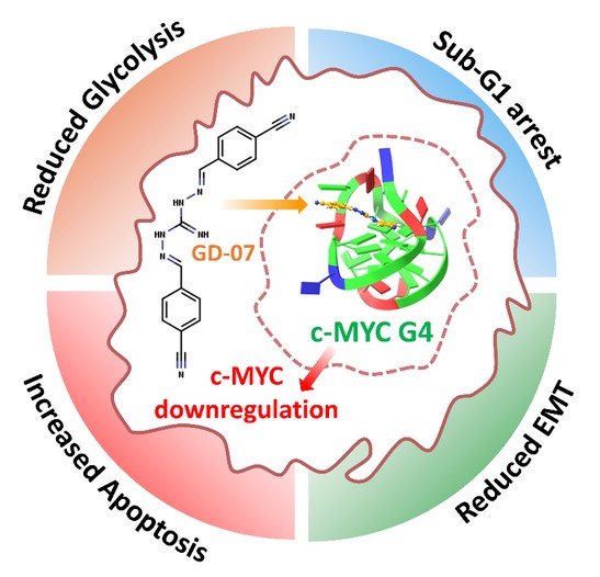 A DNA “Knot” That Silences MYC in Ovarian Cancer