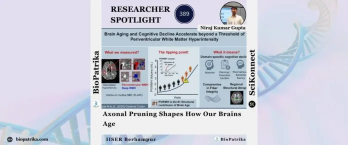 Axonal Pruning Shapes How Our Brains Age