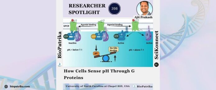 How Cells Sense pH Through G Proteins