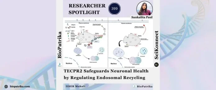TECPR2 Safeguards Neuronal Health by Regulating Endosomal Recycling
