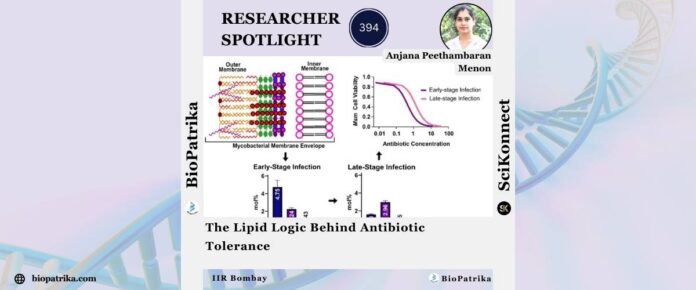 The Lipid Logic Behind Antibiotic Tolerance