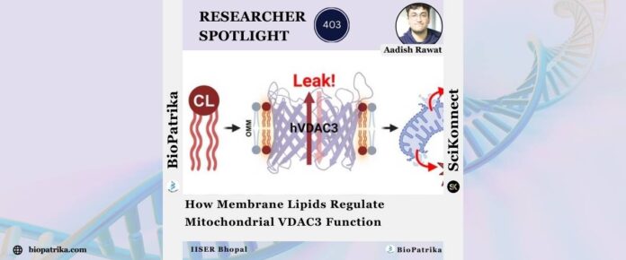 How Membrane Lipids Regulate Mitochondrial VDAC3 Function