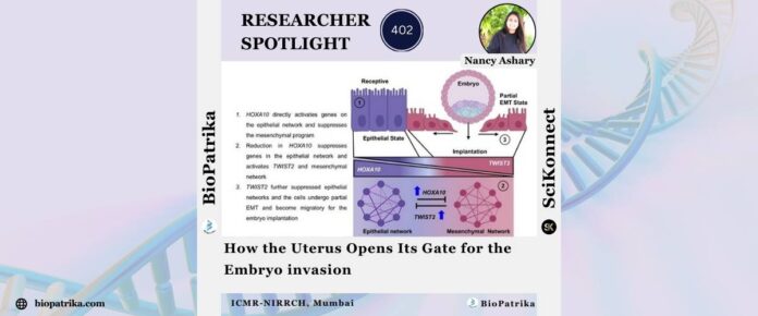 How the Uterus Opens Its Gate for the Embryo invasion