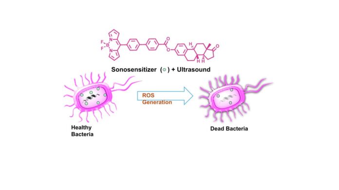 IIT Gandhinagar Develops Ultrasound-Activated Molecules to Kill Drug-Resistant Bacteria