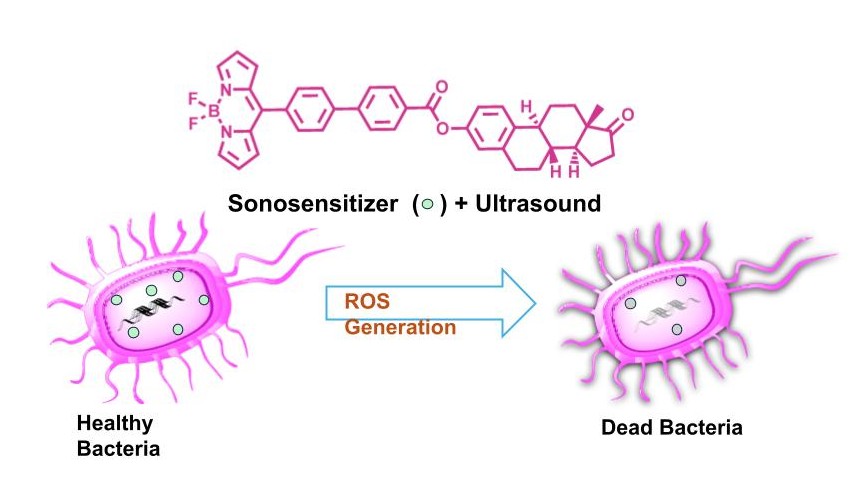IIT Gandhinagar Develops Ultrasound-Activated Molecules to Kill Drug-Resistant Bacteria