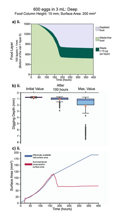 Using simulations to explore resource competition in fruit fly larvae