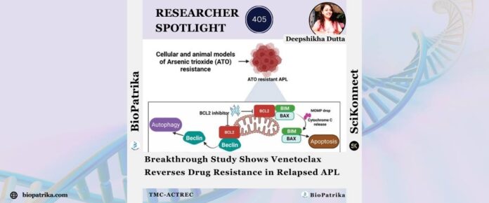 Breakthrough Study Shows Venetoclax Reverses Drug Resistance in Relapsed APL