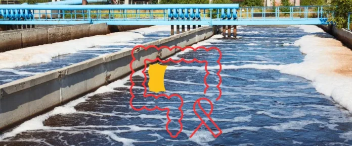 Can Wastewater Detect Cancer New Study Tracks Colorectal Cancer Signals in Sewage