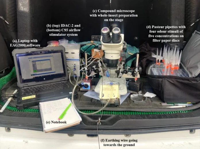 Climate Change Impacts Mountain Pollinators Study Reveals Survival Trade-offs