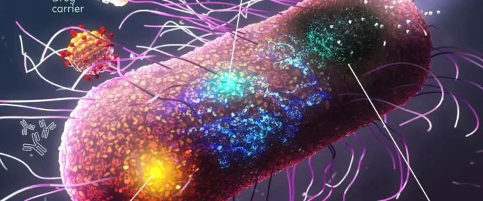 Engineered SimCells Show Promise Against Drug-Resistant Bacteria