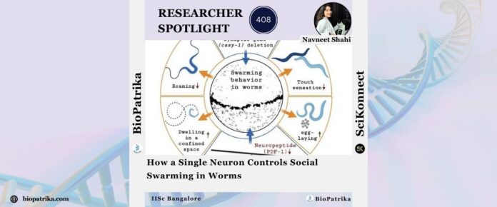 How a Single Neuron Controls Social Swarming in Worms