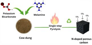 IIT Gandhinagar Develops Cow Dung-Based Carbon for CO2 Capture IIT Gandhinagar Develops Cow Dung-Based Carbon for CO2 Capture