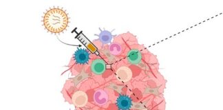 MIT Study Shows Reprogrammed Cancer Cells Can Boost Antitumor Immunity via cGAS–cGAMP Pathway MIT Study Shows Reprogrammed Cancer Cells Can Boost Antitumor Immunity via cGAS–cGAMP Pathway