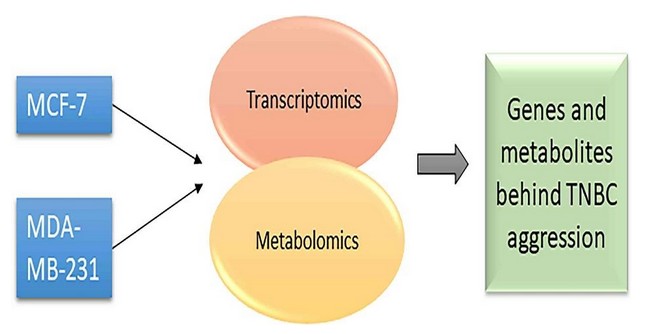 Multi-Omics Study Reveals Metabolic Reprogramming in Triple-Negative Breast Cancer