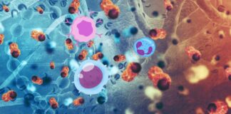 Scientists Engineer Immune Cells to Target Cancer Metabolism in Breakthrough Therapy Scientists Engineer Immune Cells to Target Cancer Metabolism in Breakthrough Therapy