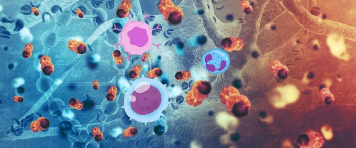 Scientists Engineer Immune Cells to Target Cancer Metabolism in Breakthrough Therapy