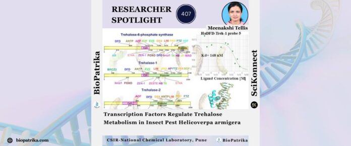 Transcription Factors Regulate Trehalose Metabolism in Insect Pest Helicoverpa armigera