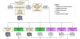 Computational biology tool to automate genomics Computational biology tool to automate genomics
