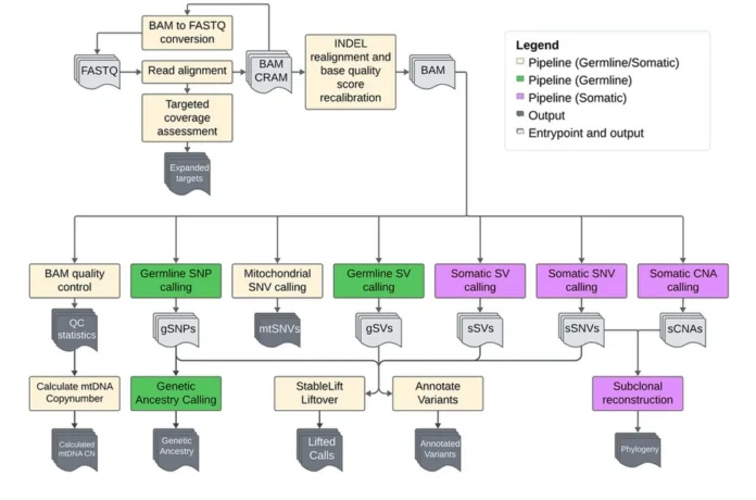 Computational biology tool to automate genomics