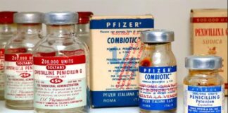 New Study Reveals Nucleotide Metabolism as Key to Antibiotic Tolerance New Study Reveals Nucleotide Metabolism as Key to Antibiotic Tolerance