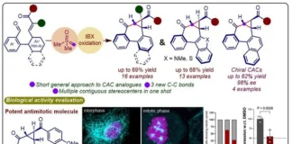 Novel Cyclopropylallocolchicinoids Show Potent Antimitotic and Anti-Influenza Activity Novel Cyclopropylallocolchicinoids Show Potent Antimitotic and Anti-Influenza Activity