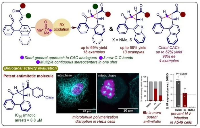 Novel Cyclopropylallocolchicinoids Show Potent Antimitotic and Anti-Influenza Activity
