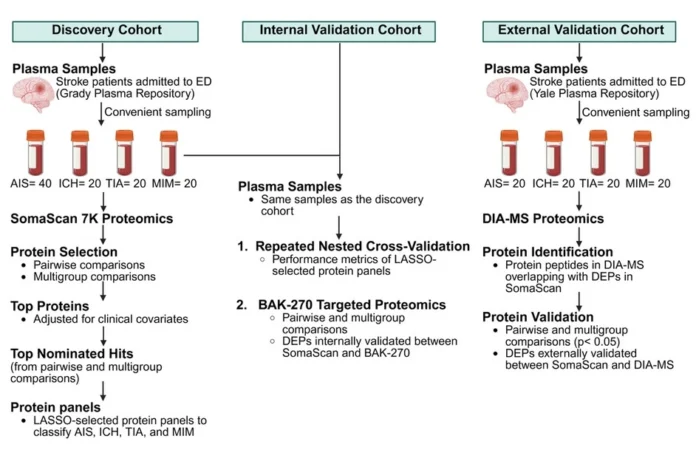 Plasma Proteomics Biomarkers Enable Faster and Accurate Stroke Diagnosis