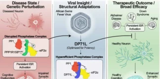 Viral Protein Reverses Memory Loss in Alzheimer’s Study Viral Protein Reverses Memory Loss in Alzheimer’s Study