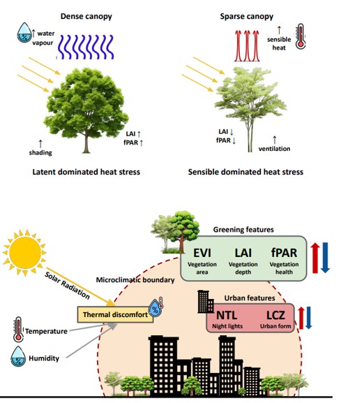 IIT Gandhinagar study finds Urban Greening must be tailored to climate and city design