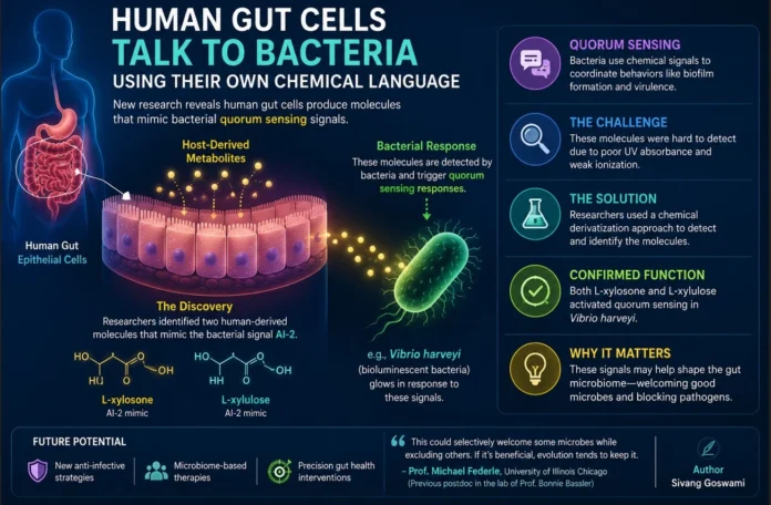 Human Gut Cells ‘Talk’ to Bacteria Using Their Own Chemical Language