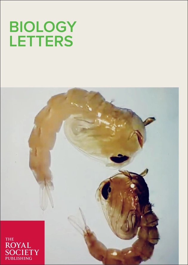 How Group Living Shapes Predator Responses in Aedes aegypti Mosquitoes