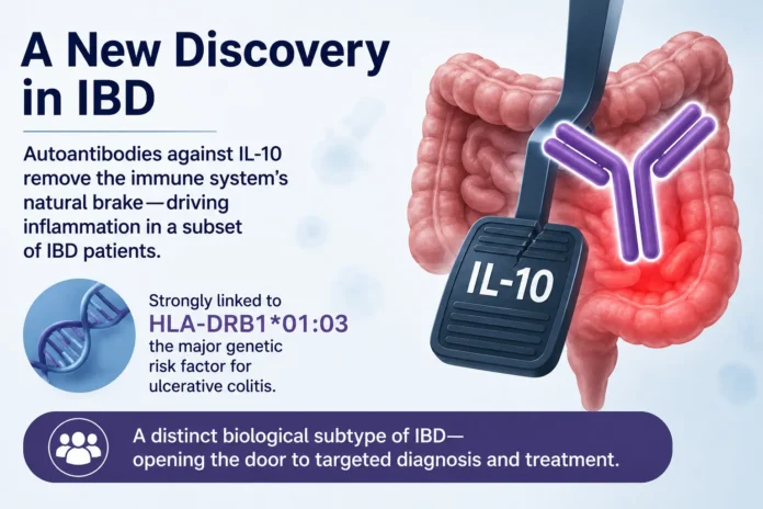 Scientists Identify a New Autoimmune Subtype of Inflammatory Bowel Disease