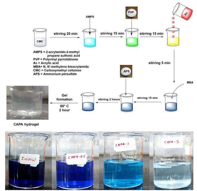 The Dye Trap: A Super Sponge that Removes Toxic Dyes from Industrial Wastewater 