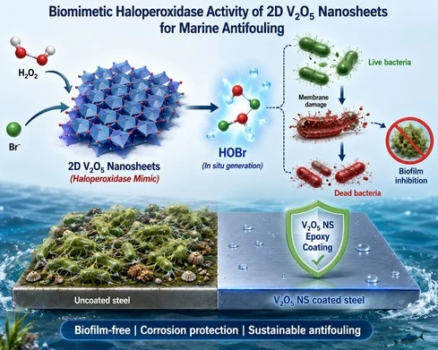 Biomimetic Nanozymes for Sustainable Marine Antifouling