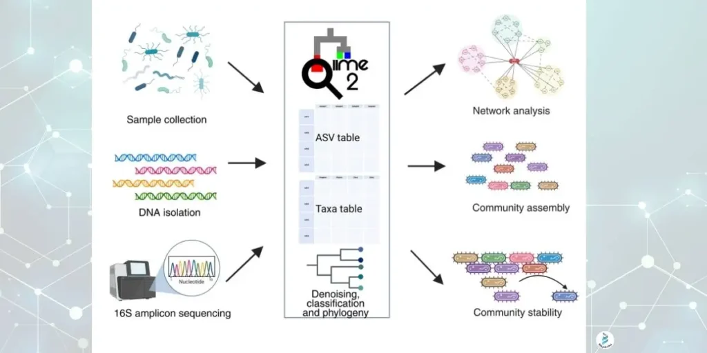 Deciphering global patterns of marine microbial community assembly and network stability