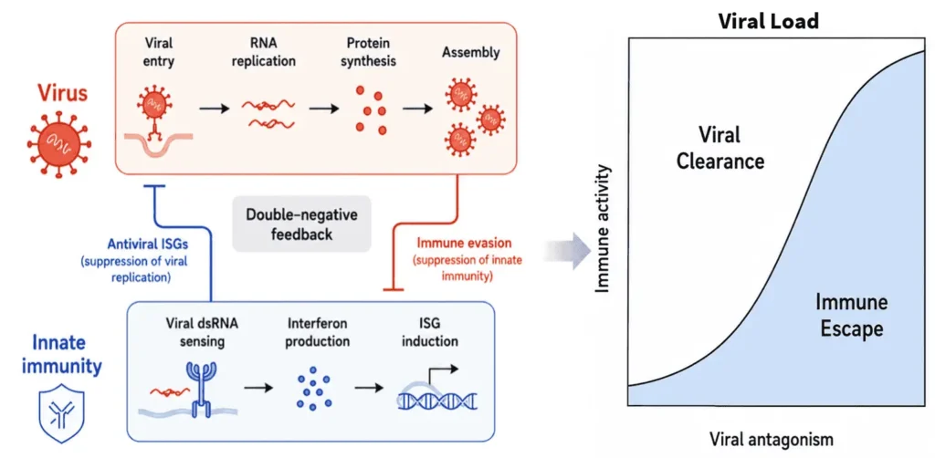 Decoding the Virus-Immune Tipping Point