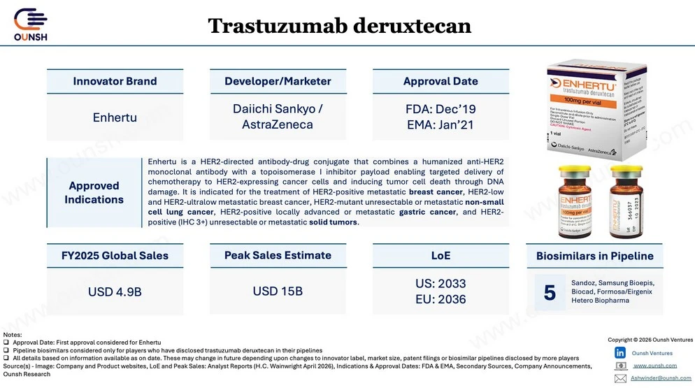 Enhertu Biosimilars Is the $15 Billion ADC Market Worth the Risk