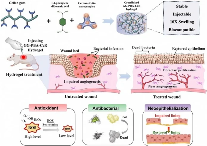 Researchers from IIT Gandhinagar and Nirma University Develop Novel Hydrogel to Accelerate Wound Healing
