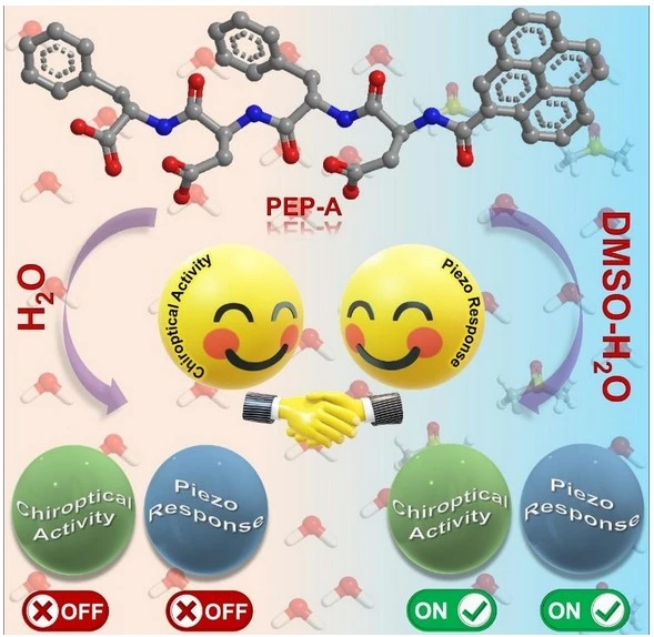 Turning Peptides into Tiny Power Generators