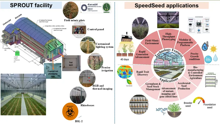 SpeedSeed Accelerates Chickpea Breeding with 8–10 Generations a Year