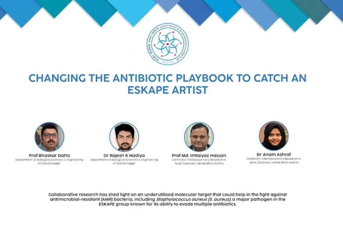 DSA3 Targets Thymidine Kinase to Fight Drug-Resistant Staphylococcus aureus